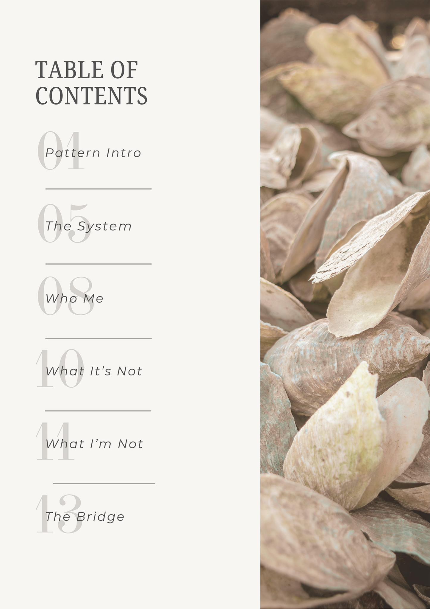 Sisurf Field Guide | Decision-Making Under Pressure